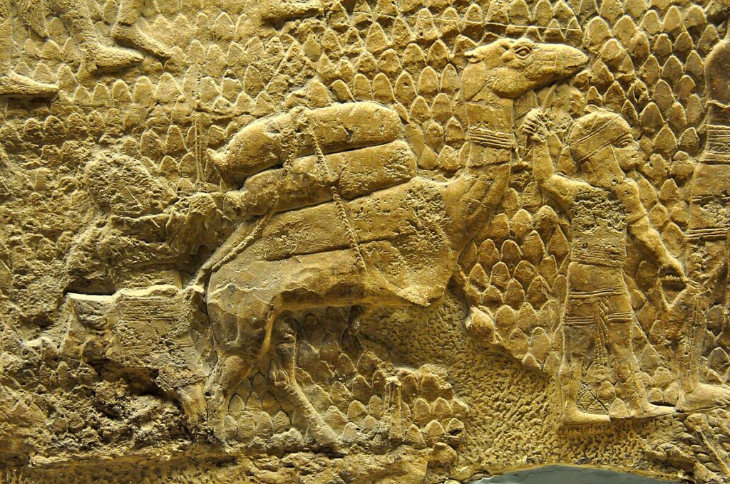Detail of deportees escorted from Lachish by Assyrian troops