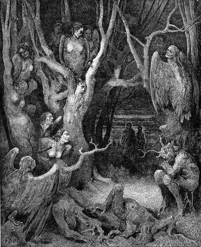 Harpies in the Infernal Wood