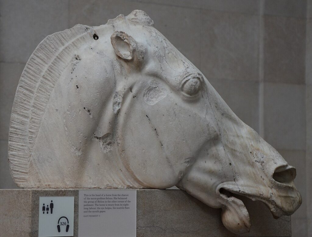 Parthenon Marbles debate: head of the horse of Selene, British Museum.