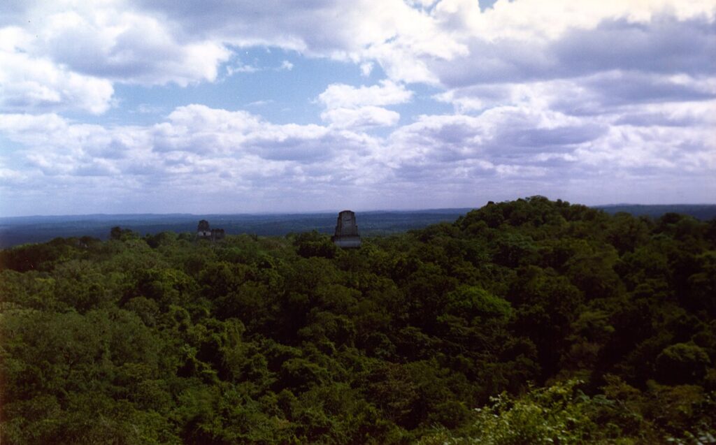 Dense rainforest canopy around Tikal in northern Guatemala.