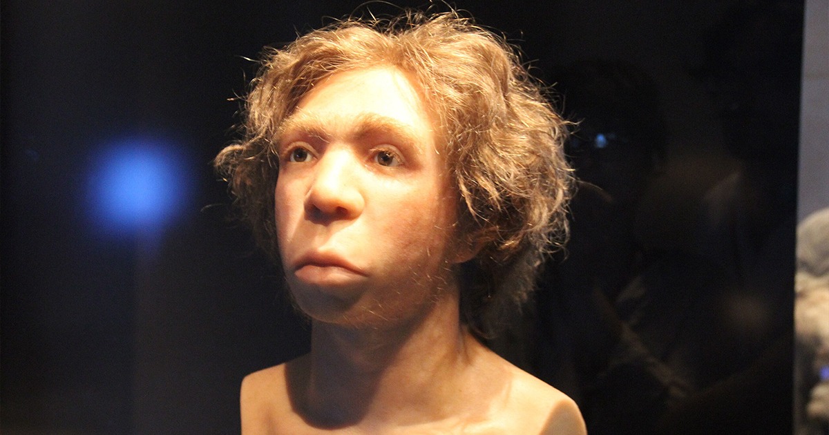 Neanderthal Medicine Rediscovered: Testing 50,000-Year-Old Plants