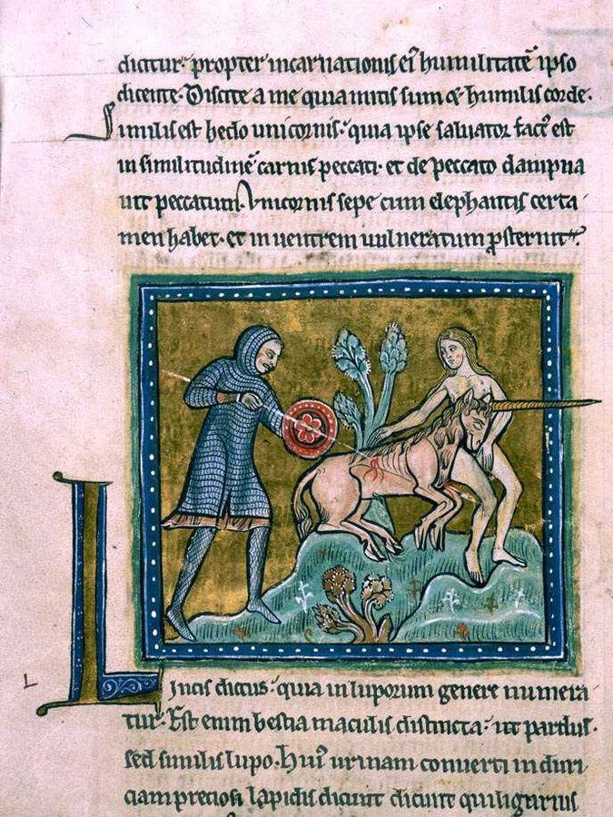 Unicorn from the Rochester Bestiary, late 13th century.